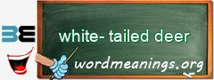 WordMeaning blackboard for white-tailed deer